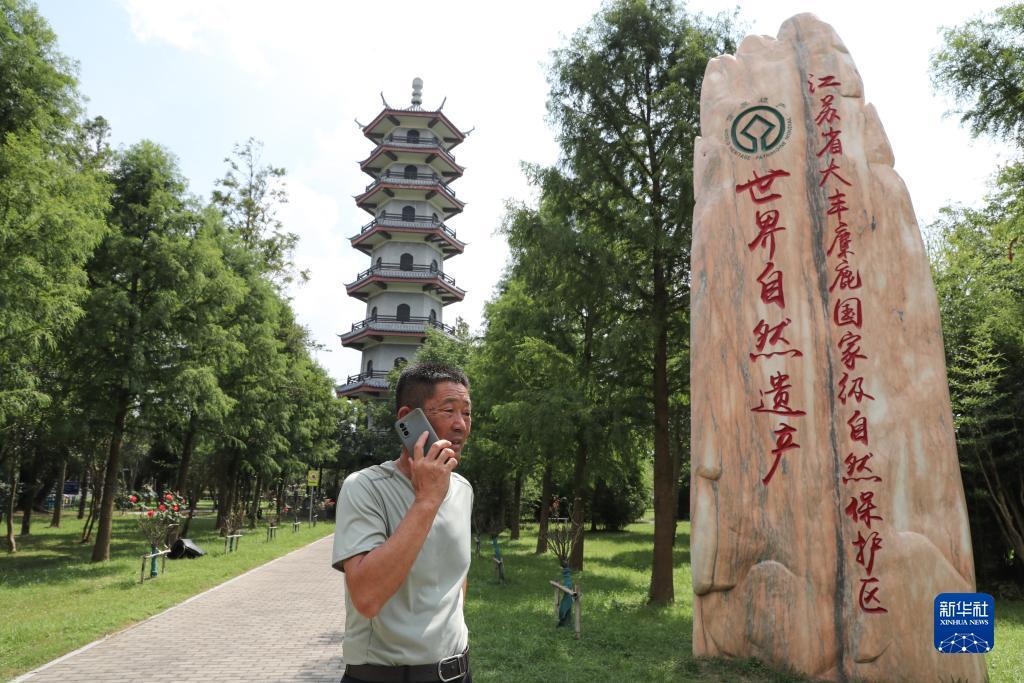 答题大满贯下载